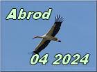Abrod